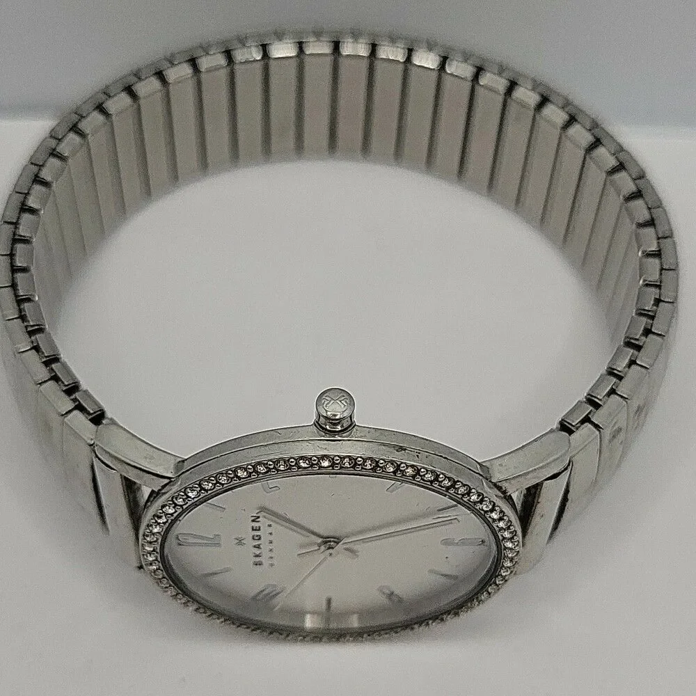 Skagen SKW2284 Women Silver Stainless Steel Analog Dial Quartz Wrist Watch AM576